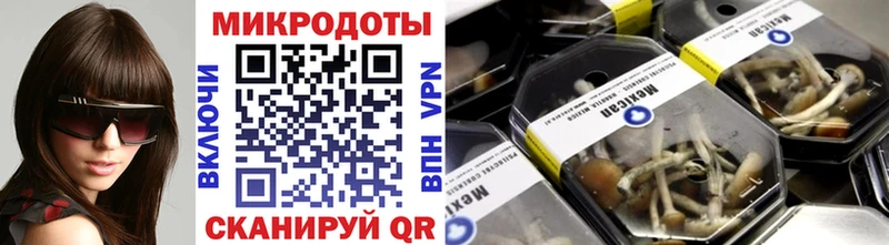 Купить закладки Новотитаровская Галлюциногенные грибы MAGIC MUSHROOMS